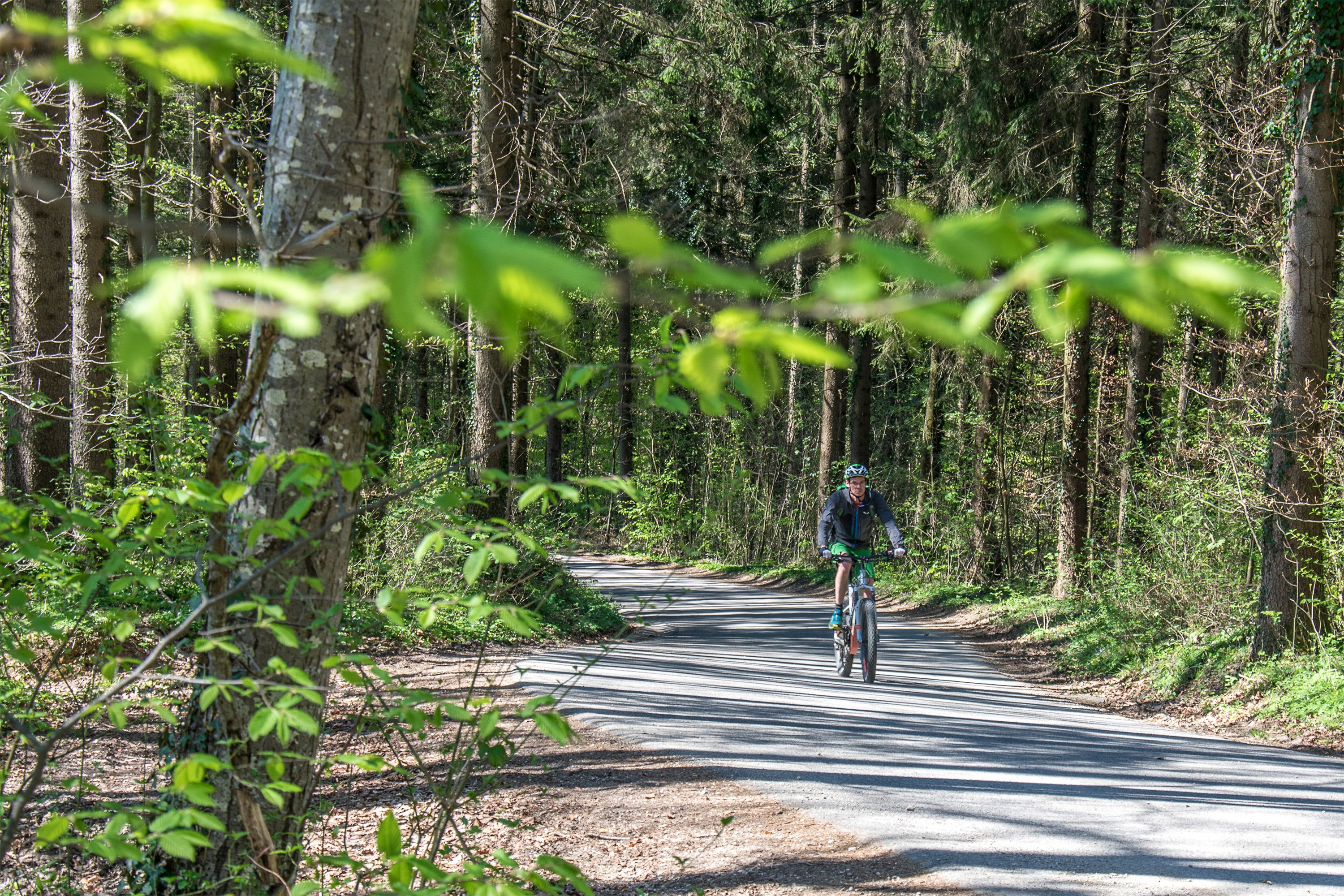 Mit dem Mountainbike am Högl unterwegs
