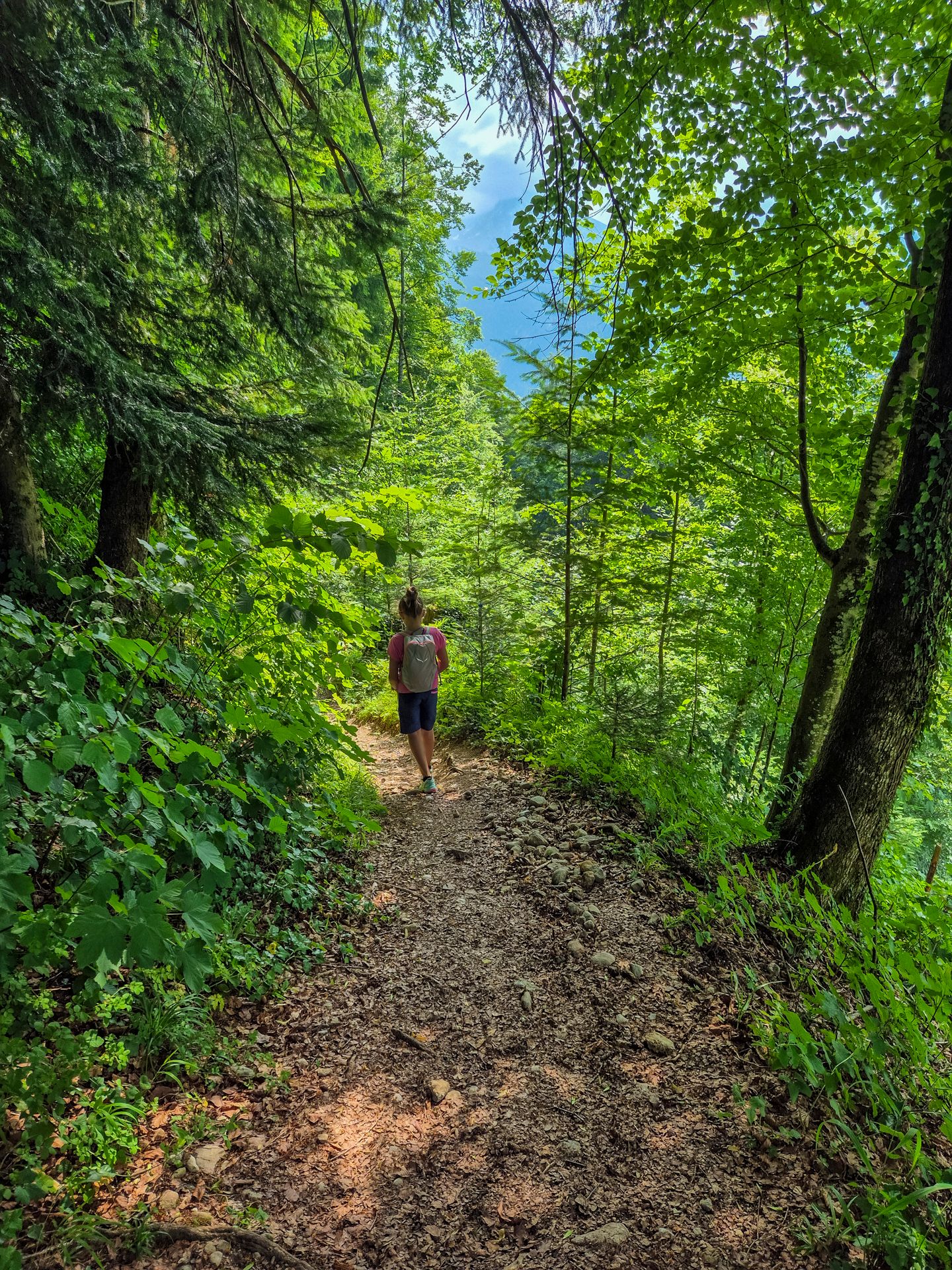 Auf dem Waldweg zum Kalten Keller hinauf