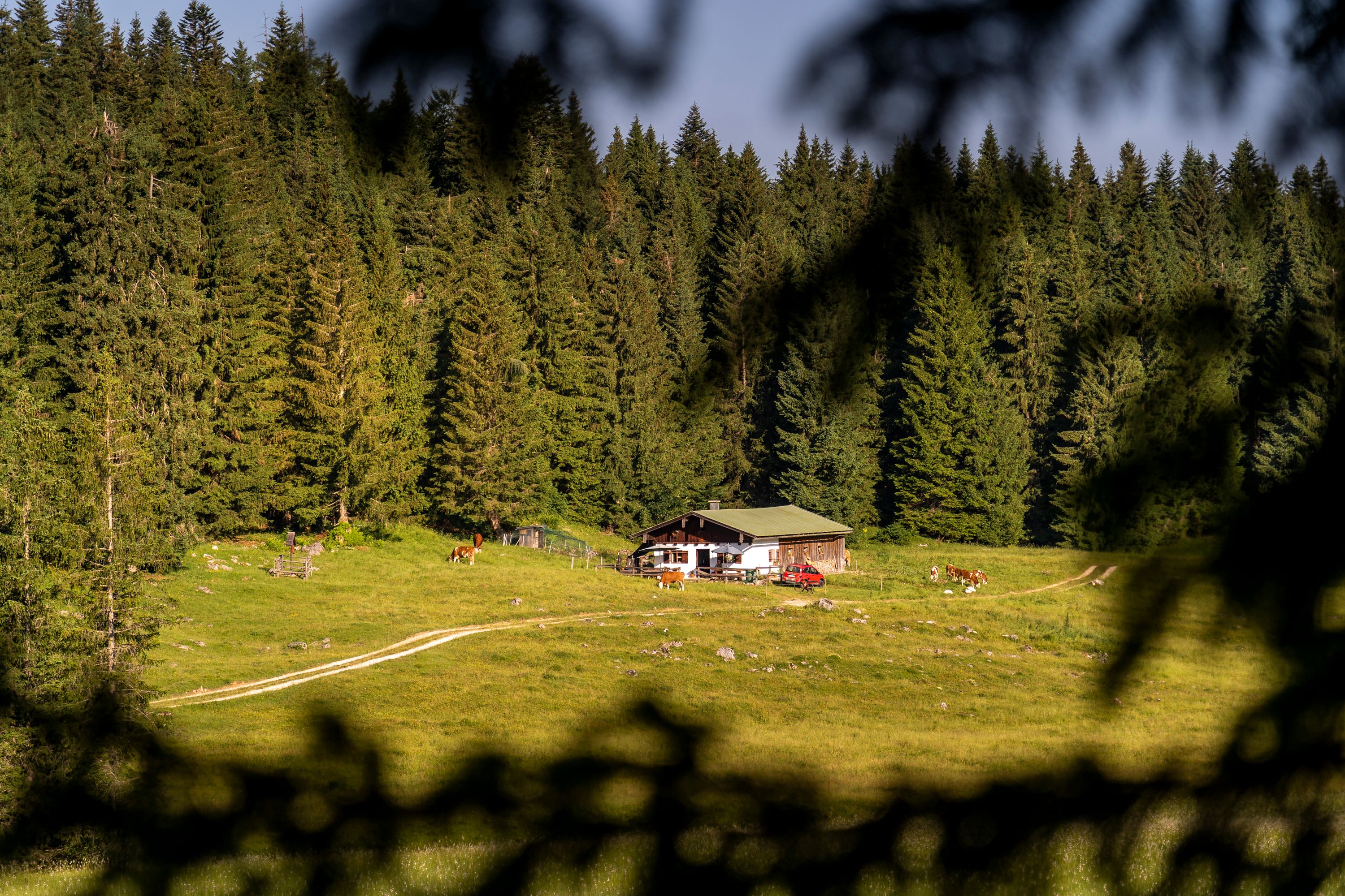 Auf der Anthauptenalm