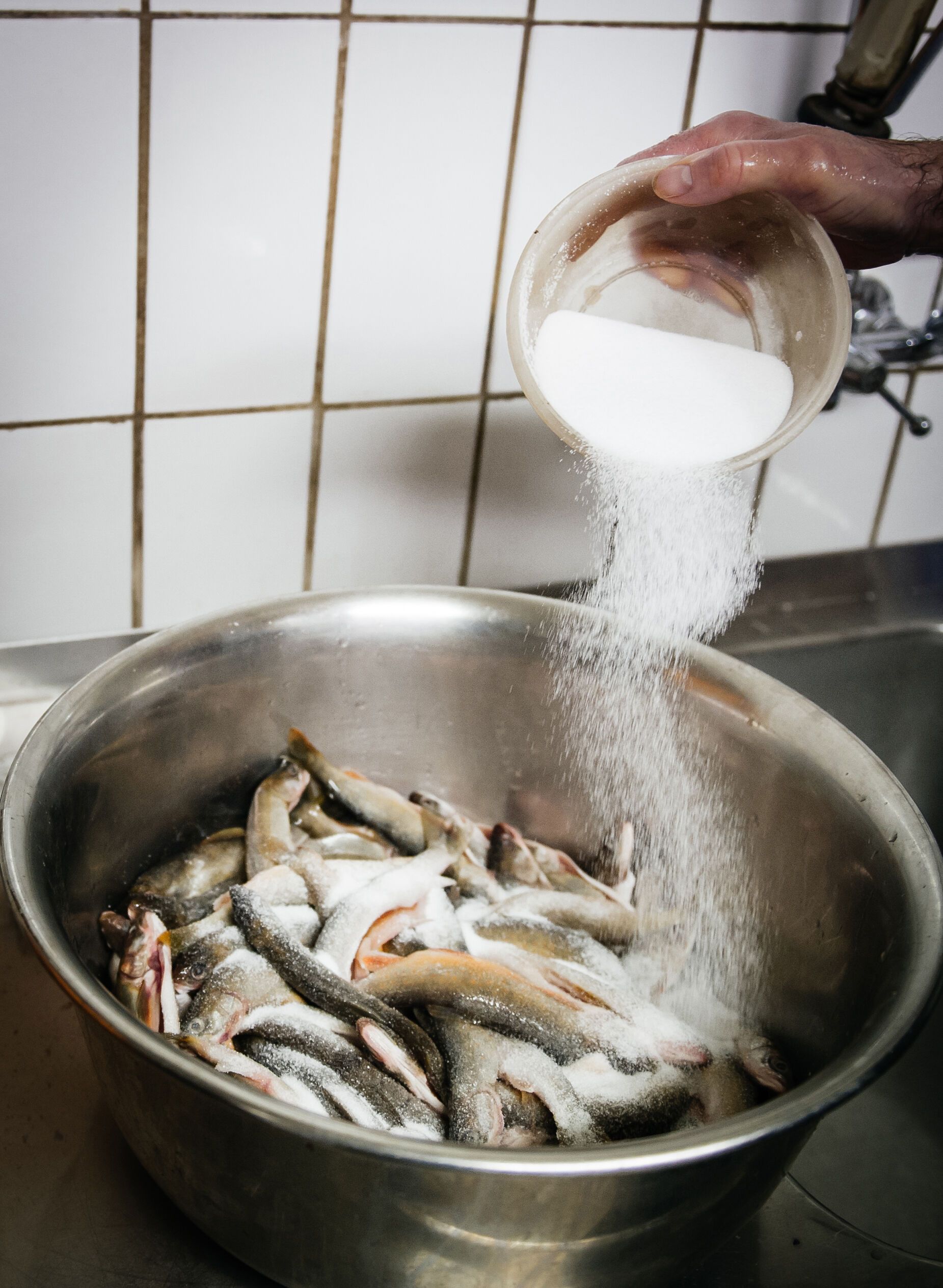 Der Fischer vom Königssee bereitet Schwarzreiter zu