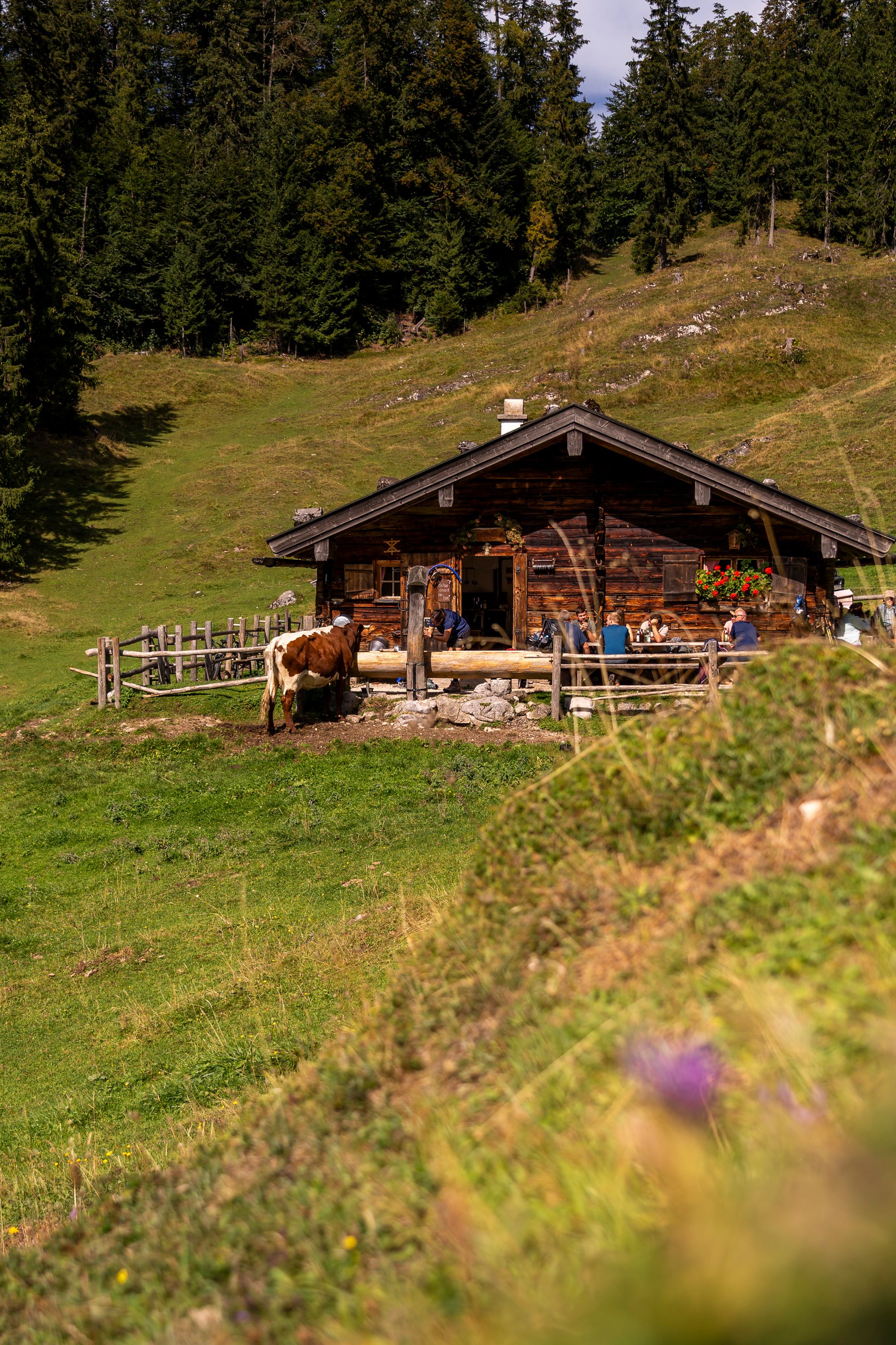 Der Scheuerl-Kaser auf der Sellarnalm 