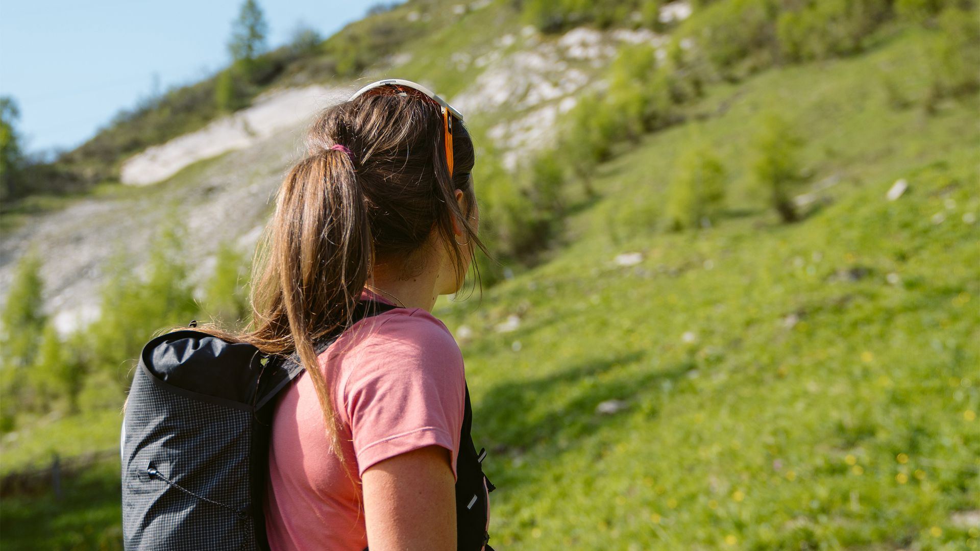 Das Purtschellerhaus 