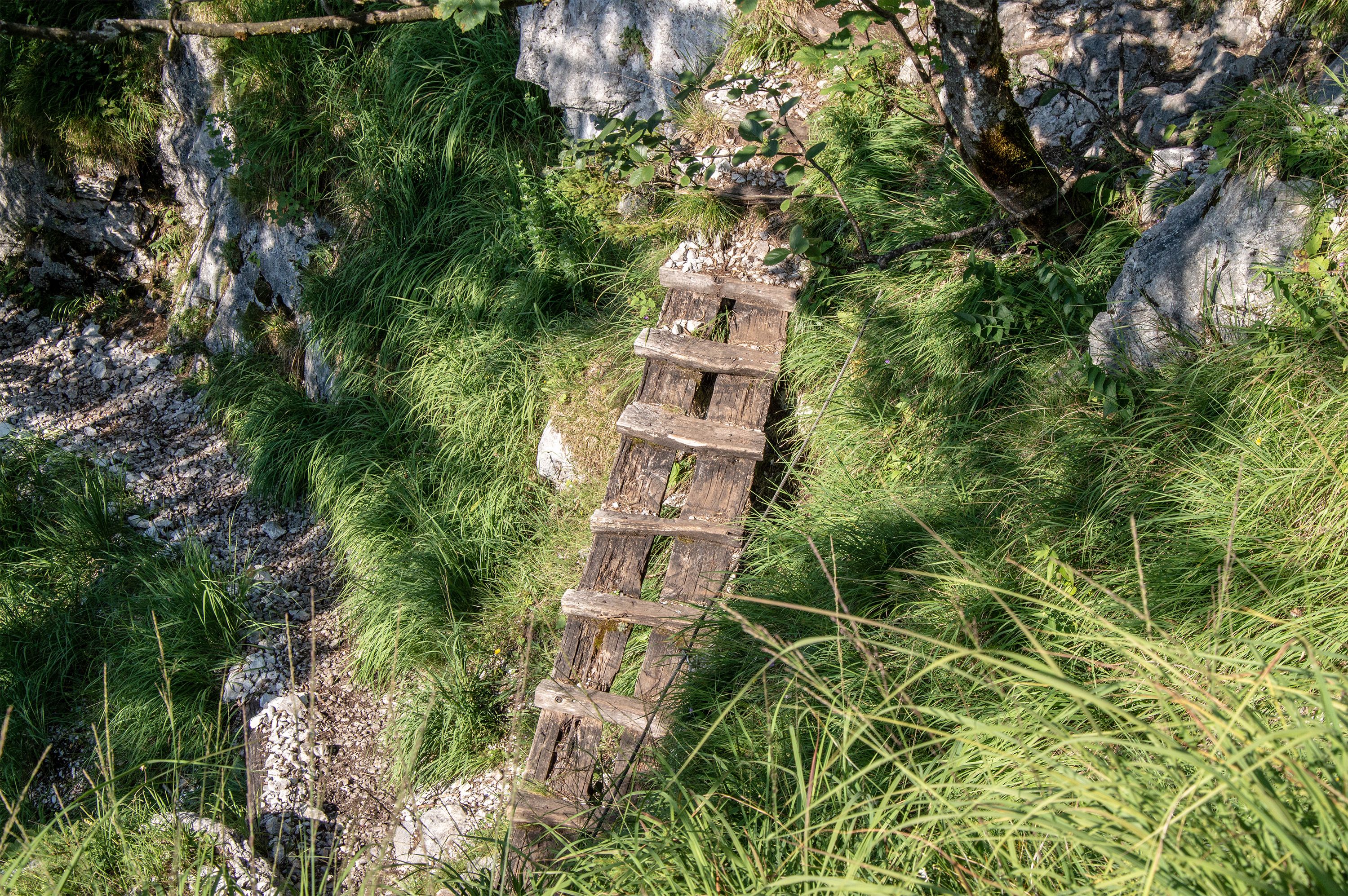 Holzsteg im Rinnkendlsteig