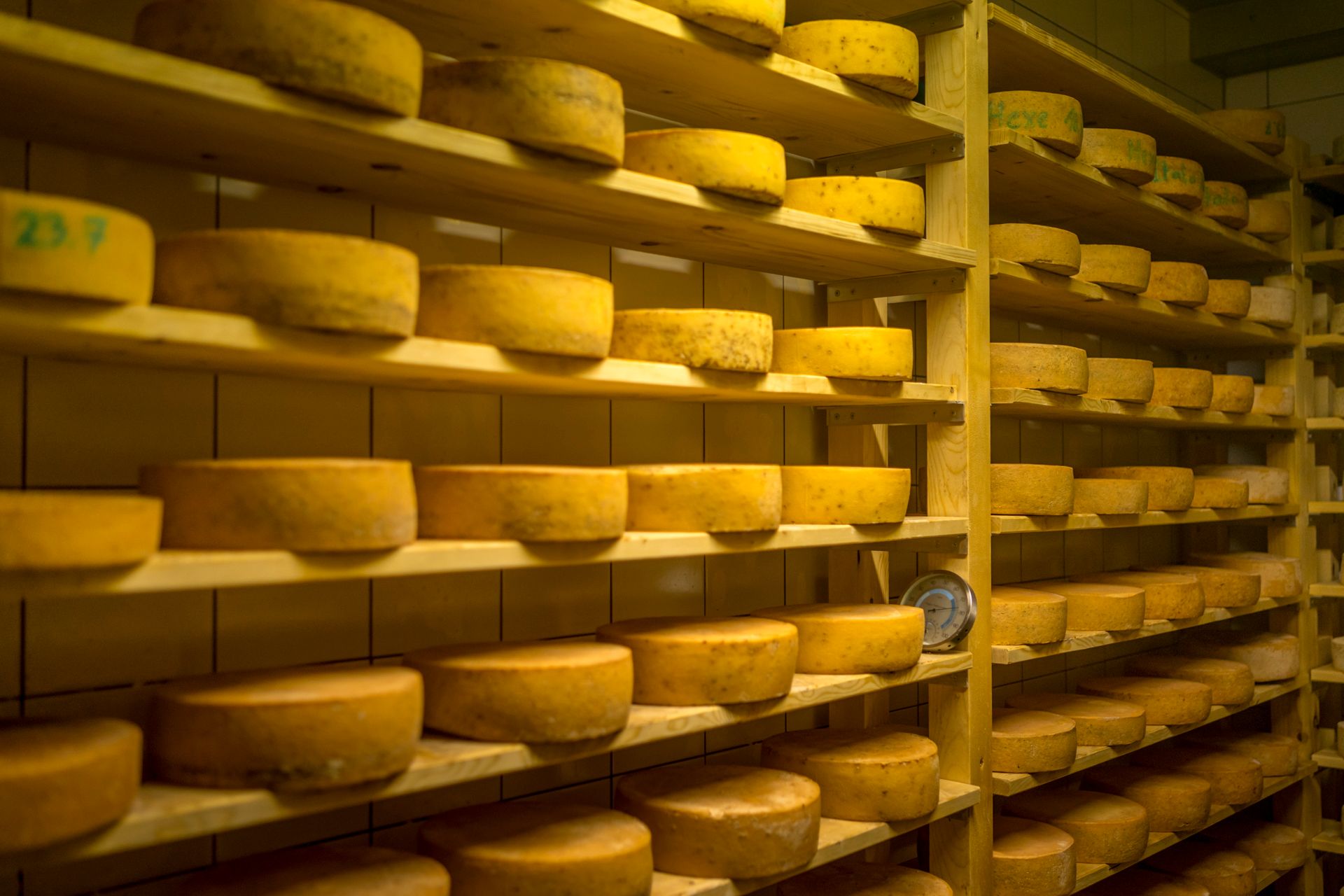 Käse von der Dorfkäserei Königssee