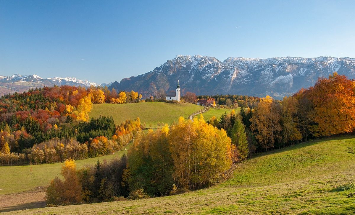 Herbst am Johannishögl