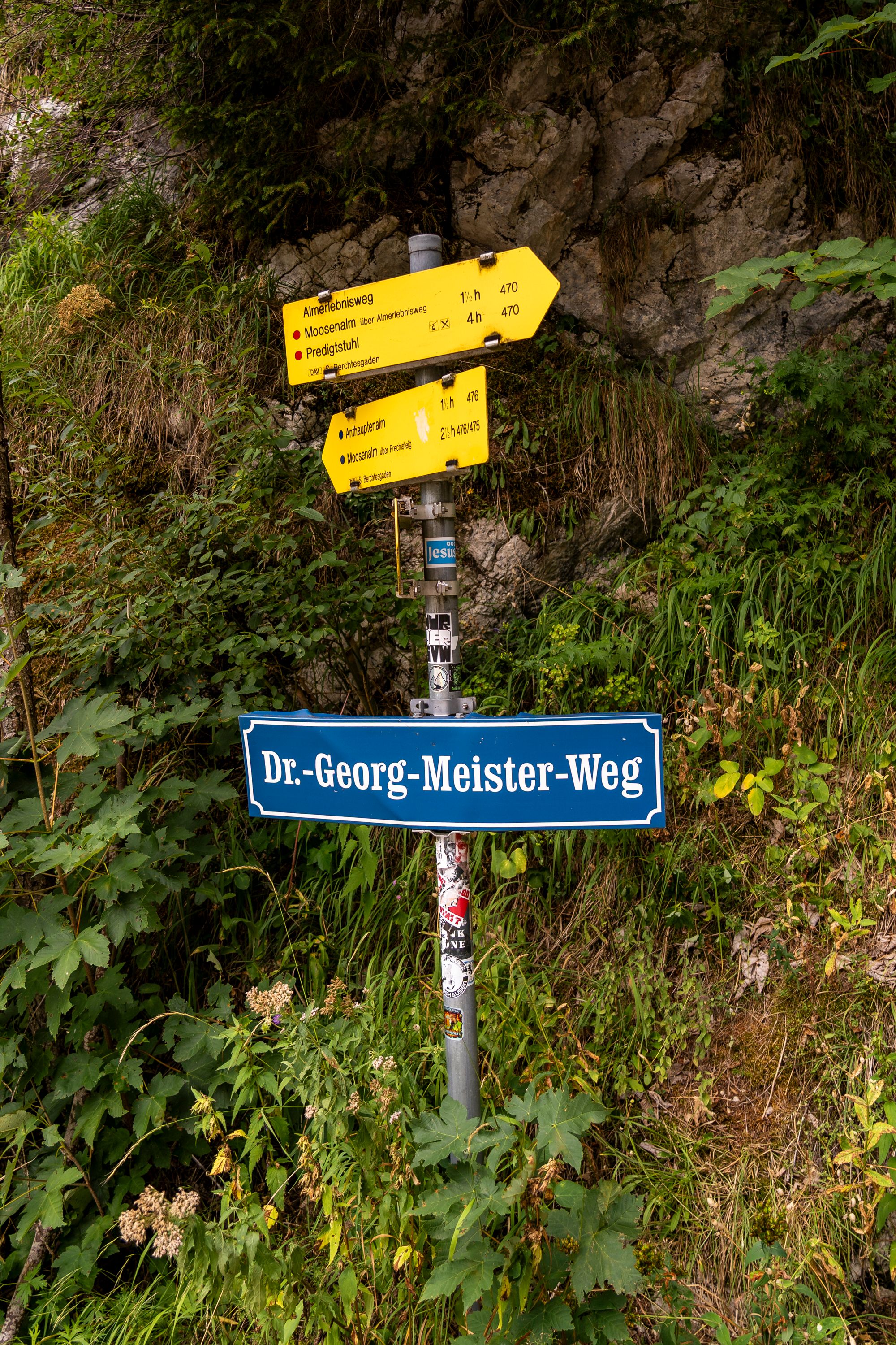 Der Almerlebnisweg Ramsau oberhalb von Wachterl