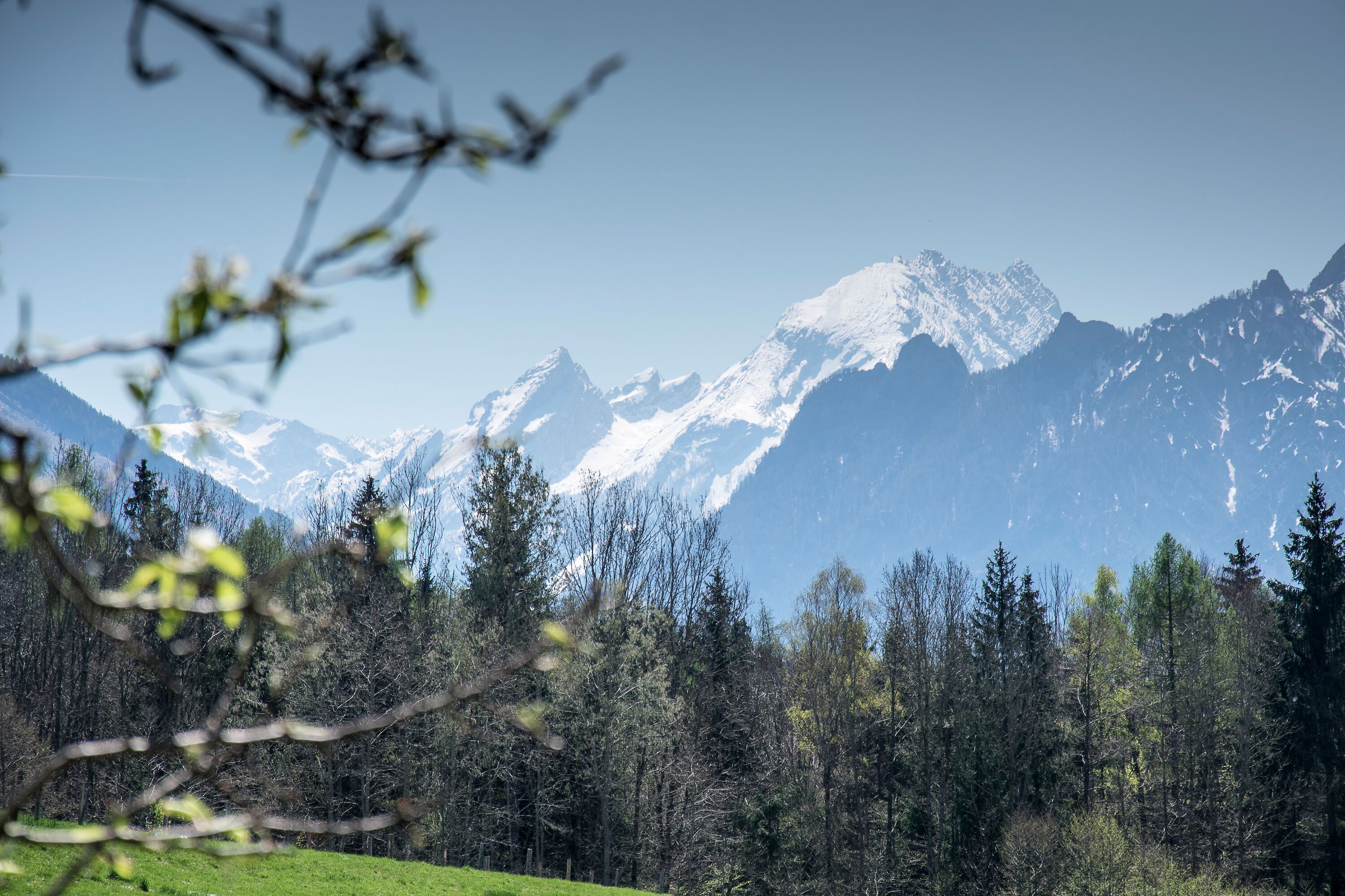 Blick zum Watzmann vom Högl