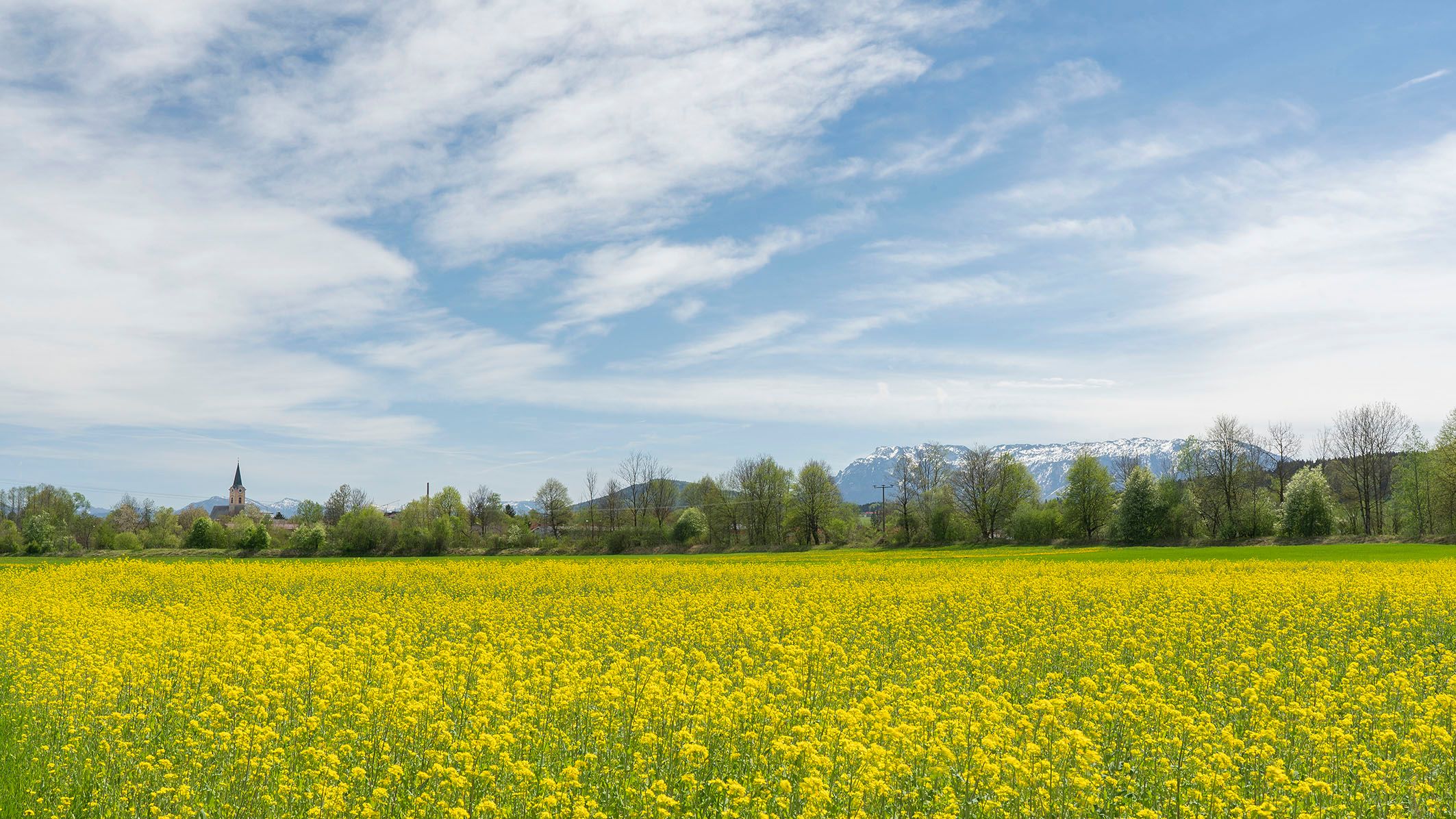 Blick von Moosen nach Teisendorf