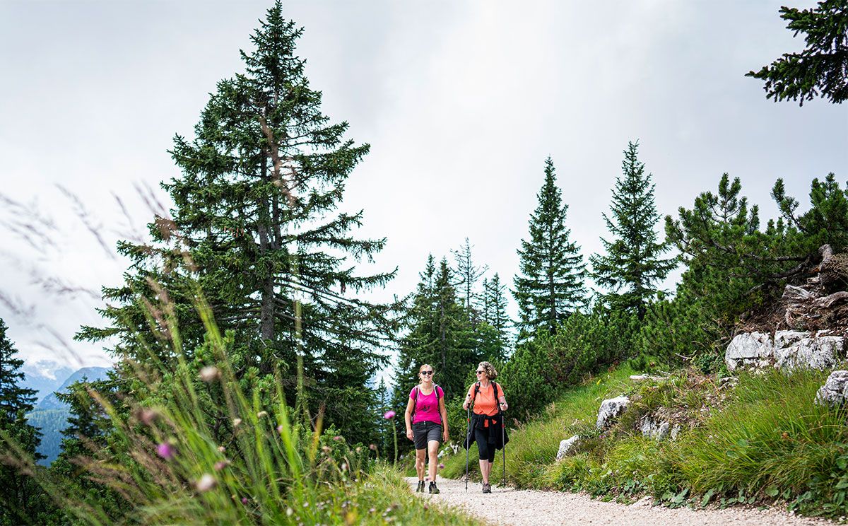 Wandern am Predigtstuhl
