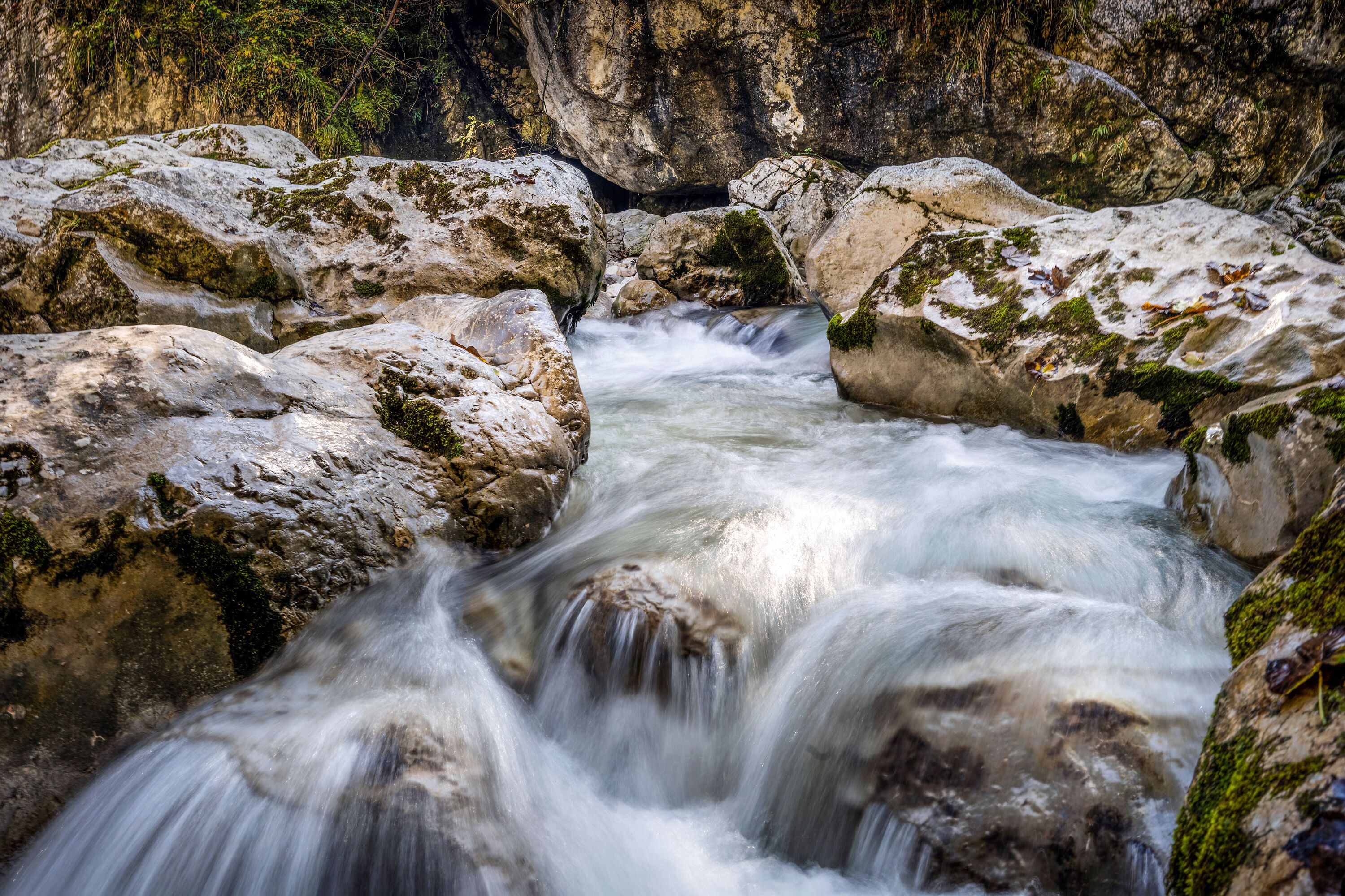 Wildes Wasser im Zauberwald