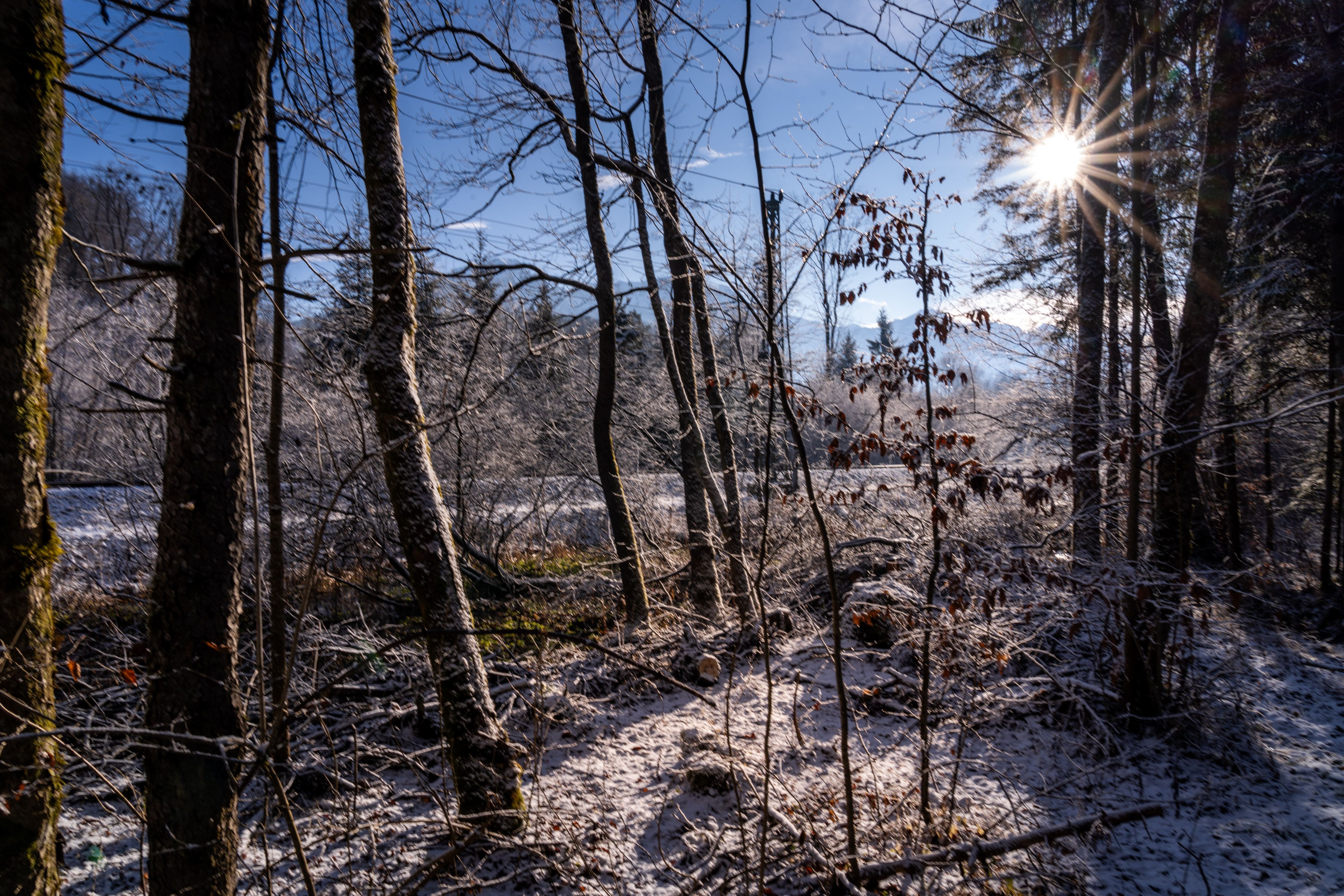 An der Bischofswieser Ache