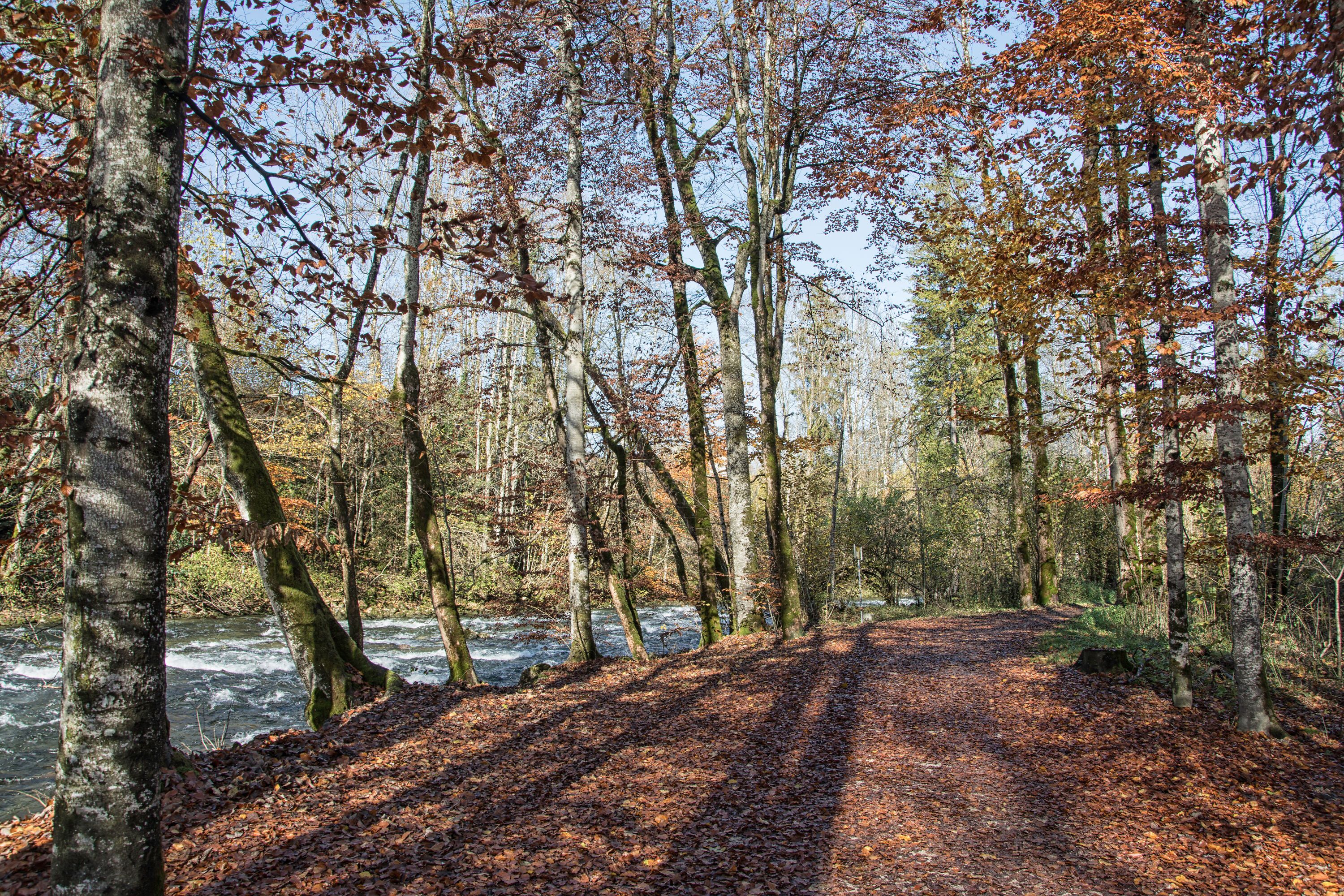 Herbts am Königsseer Fußweg