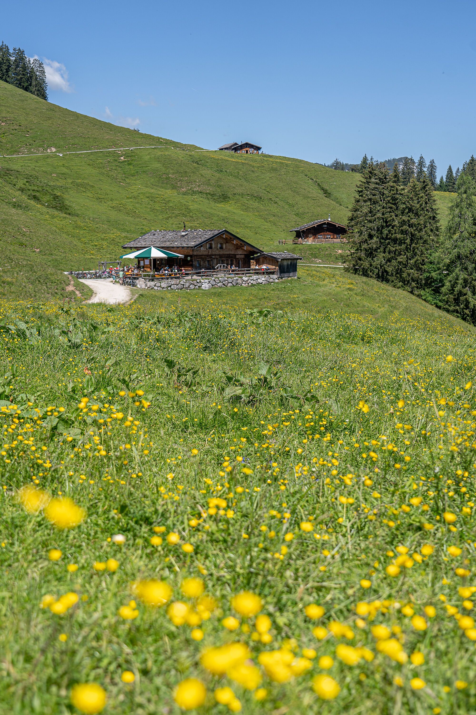 Die Jausenstation auf der Litzlalm