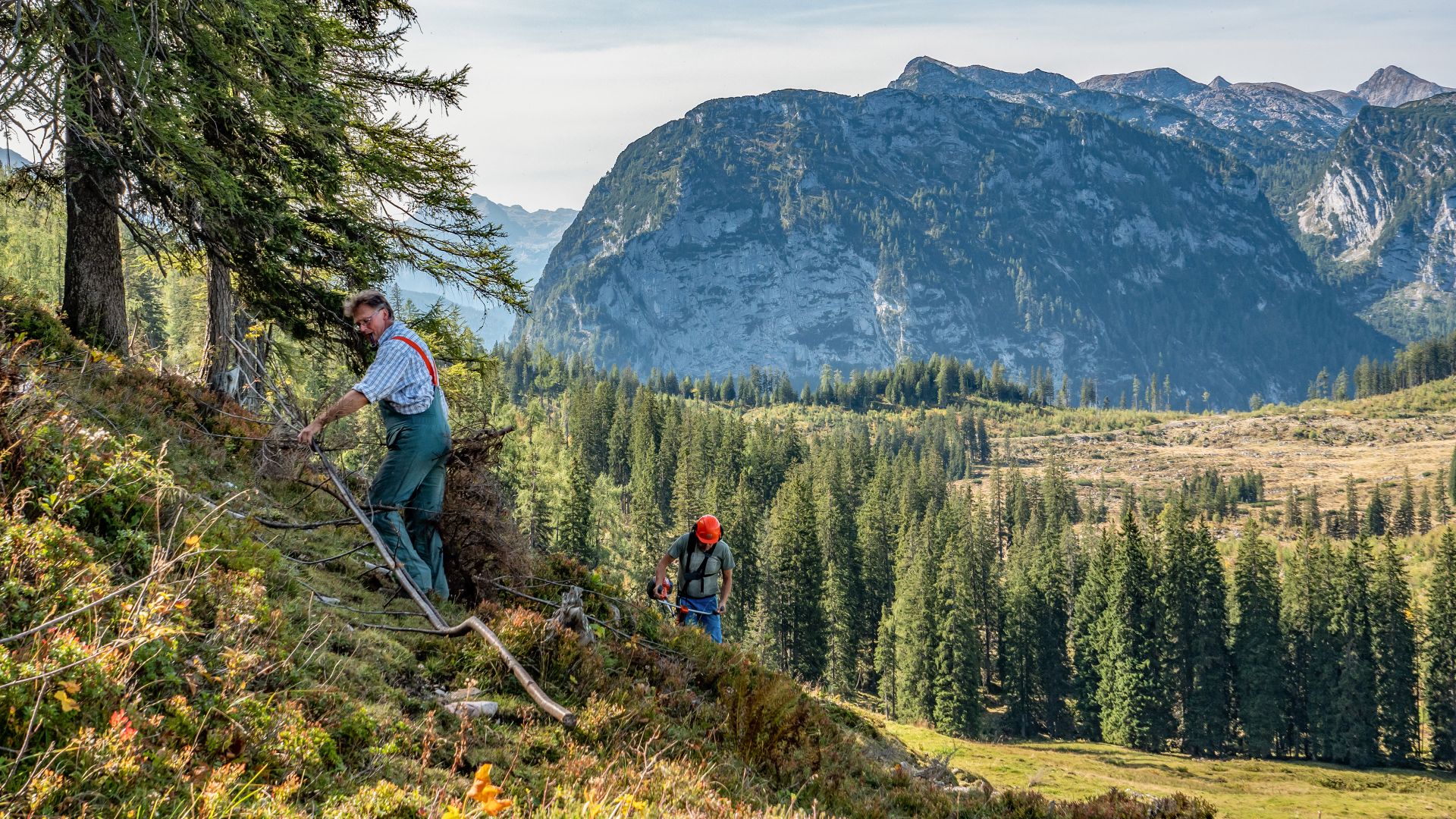Freiwilligen-Schwendaktion der Biosphärenregion auf der Lattenbergalm