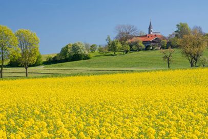 Blick auf Steinhögl