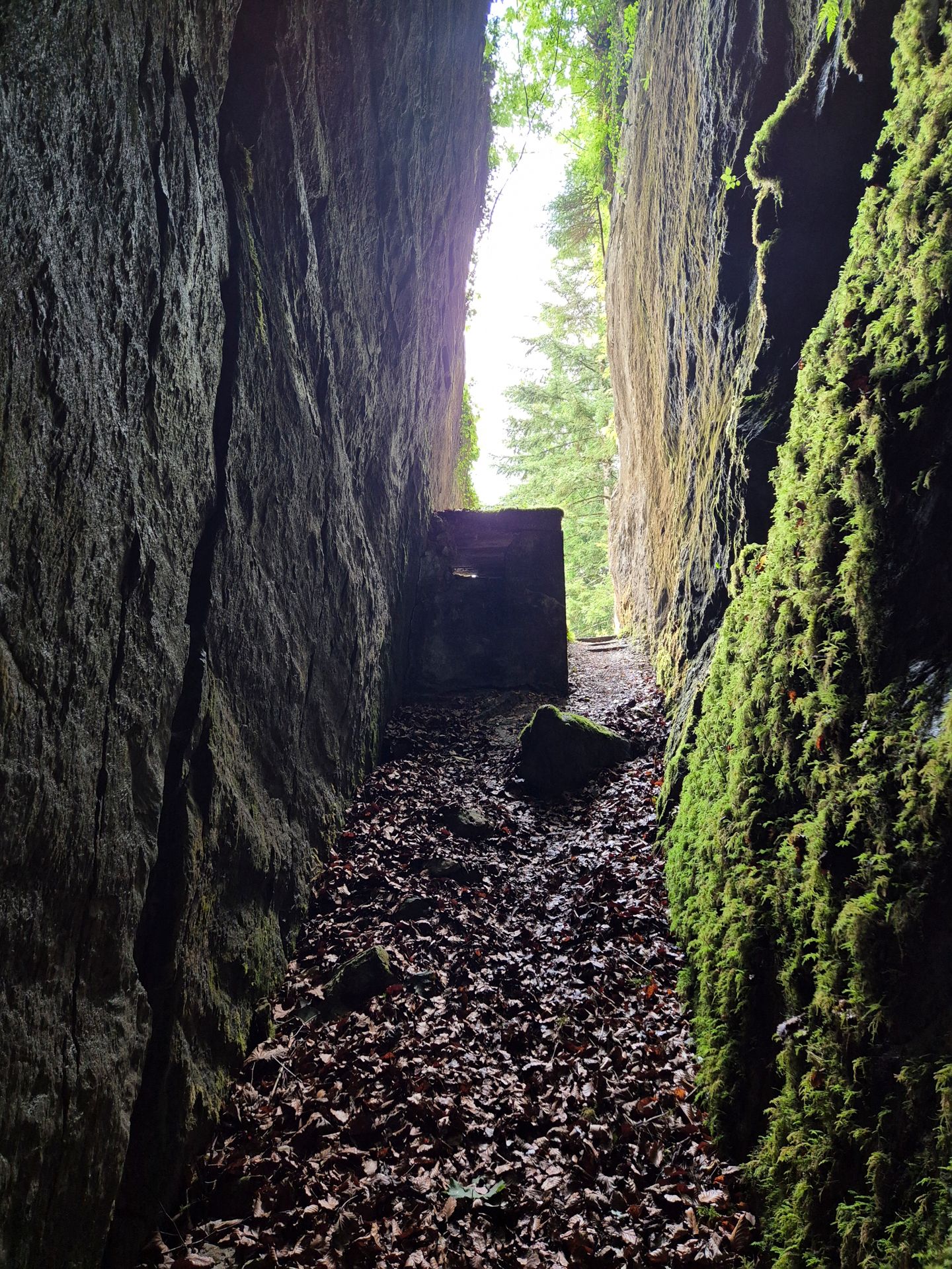 Felsspalte Kalter Keller