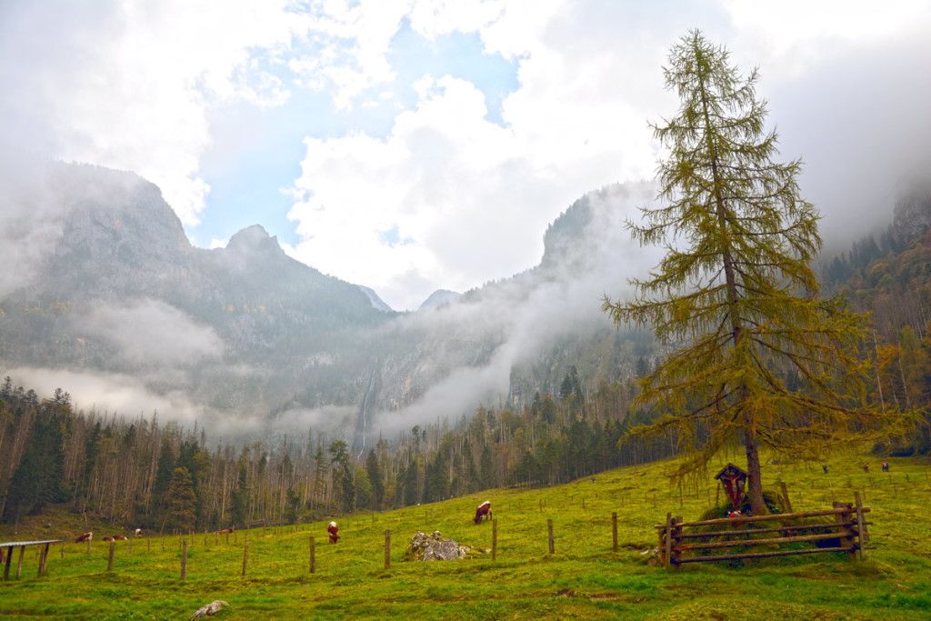 Blick von der Fischunkelalm zum Röthbach-Wasserfall