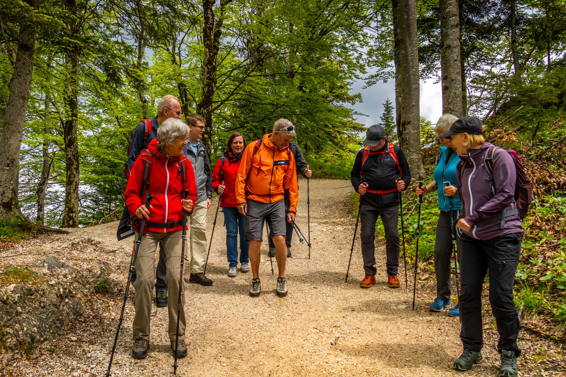 Die Wanderer üben sich im Bergabgehen