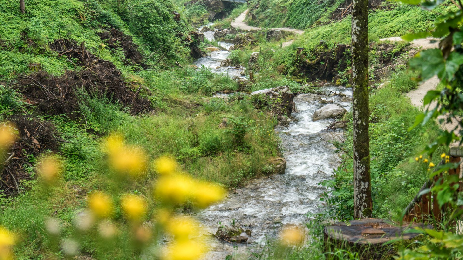In der Gerer Klamm