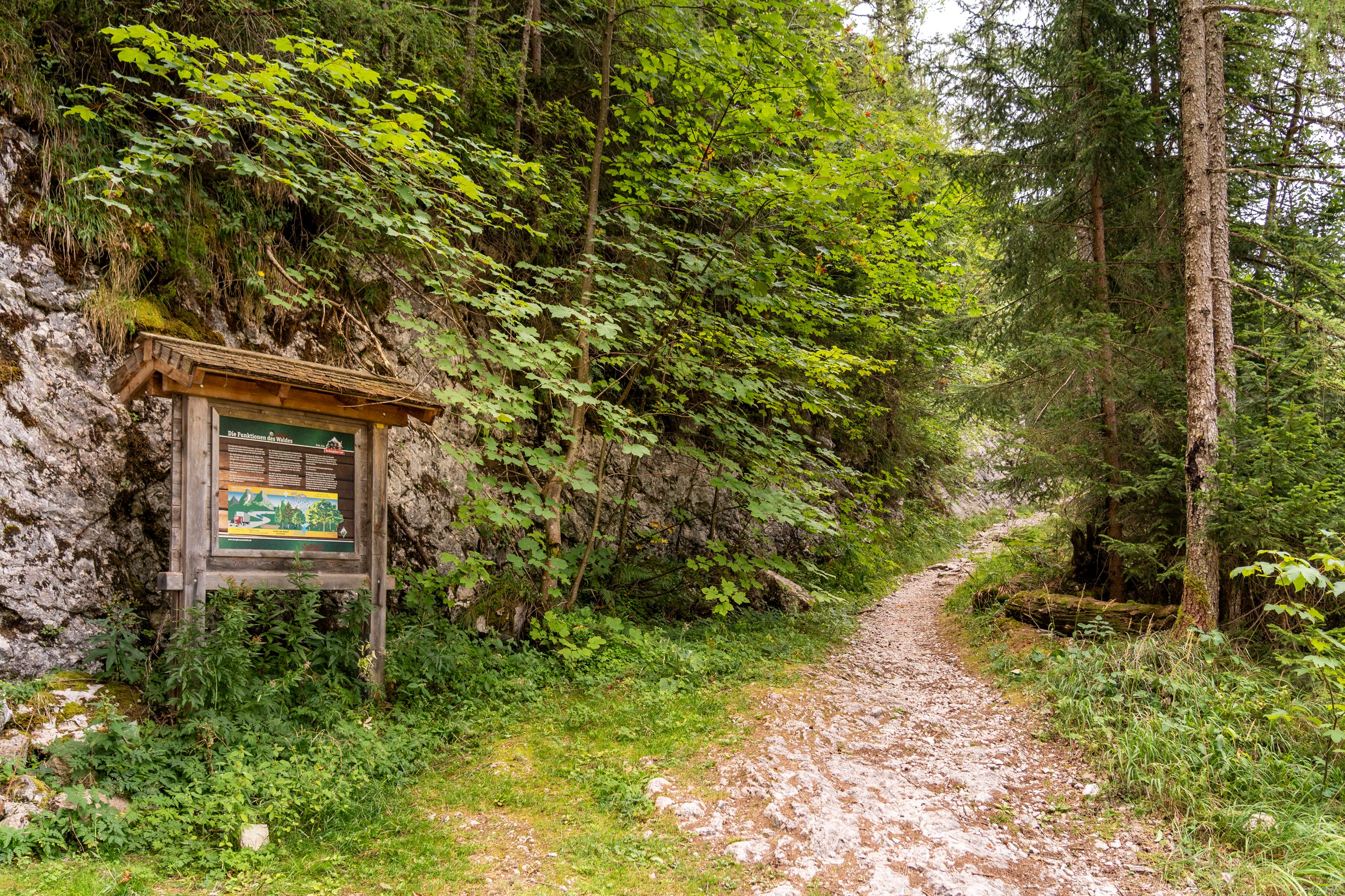Abzweigung zur Moosenalm am Almerlebnisweg Ramsau