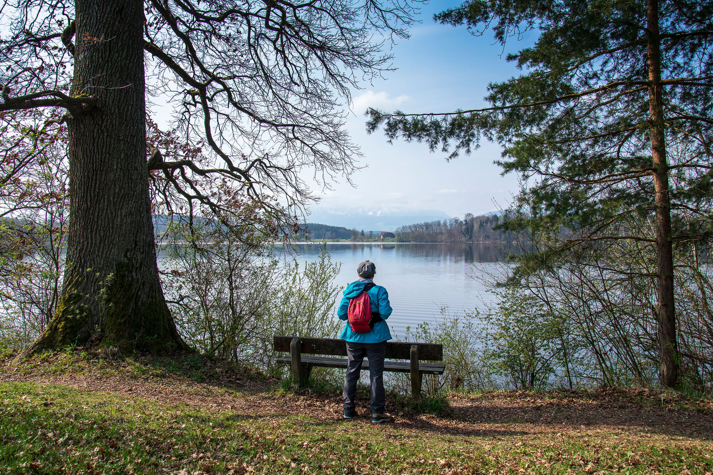 Wanderin am Abtsdorfer See