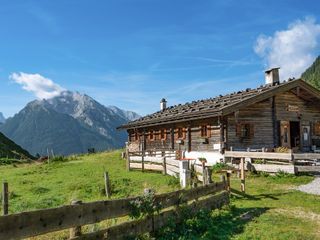 Bild zu Die Alm erleben