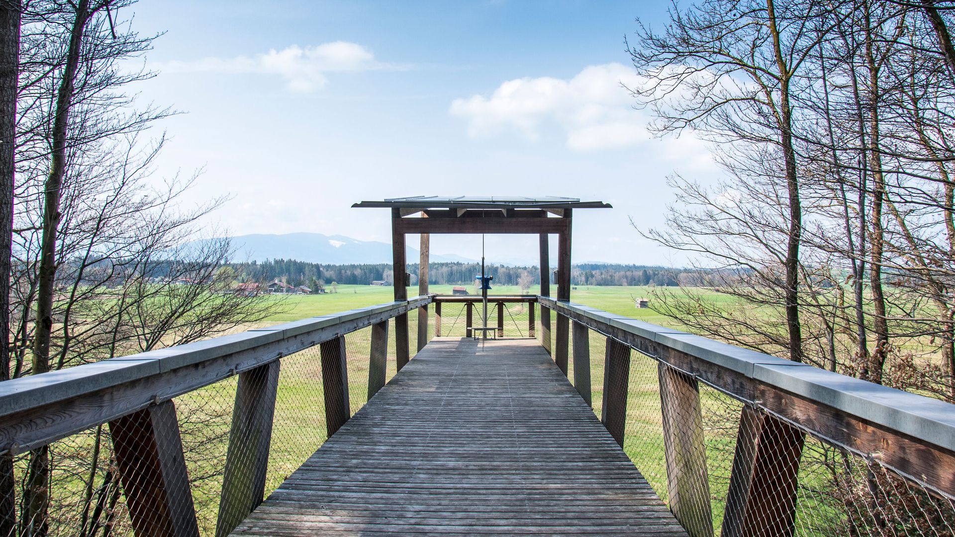 Besucherplattform Haarmoos am Abtsdorfer See