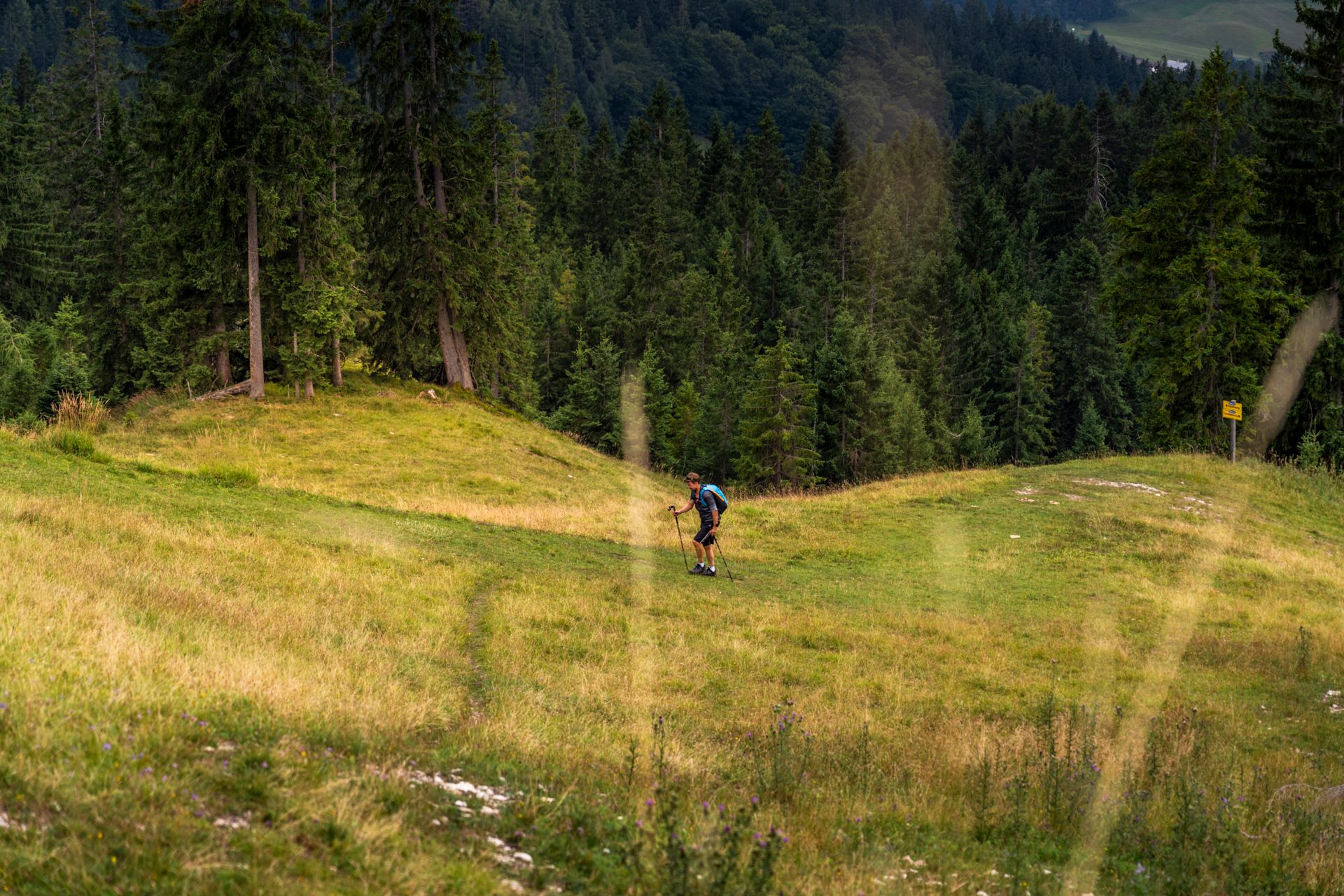Person, die zum Hirschkaser zu Fuß geht