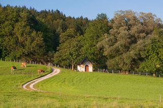 Talrunde Aufham - Piding