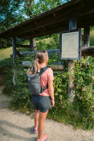 Deicheln und Infotafel an der Soleleitung Ramsau