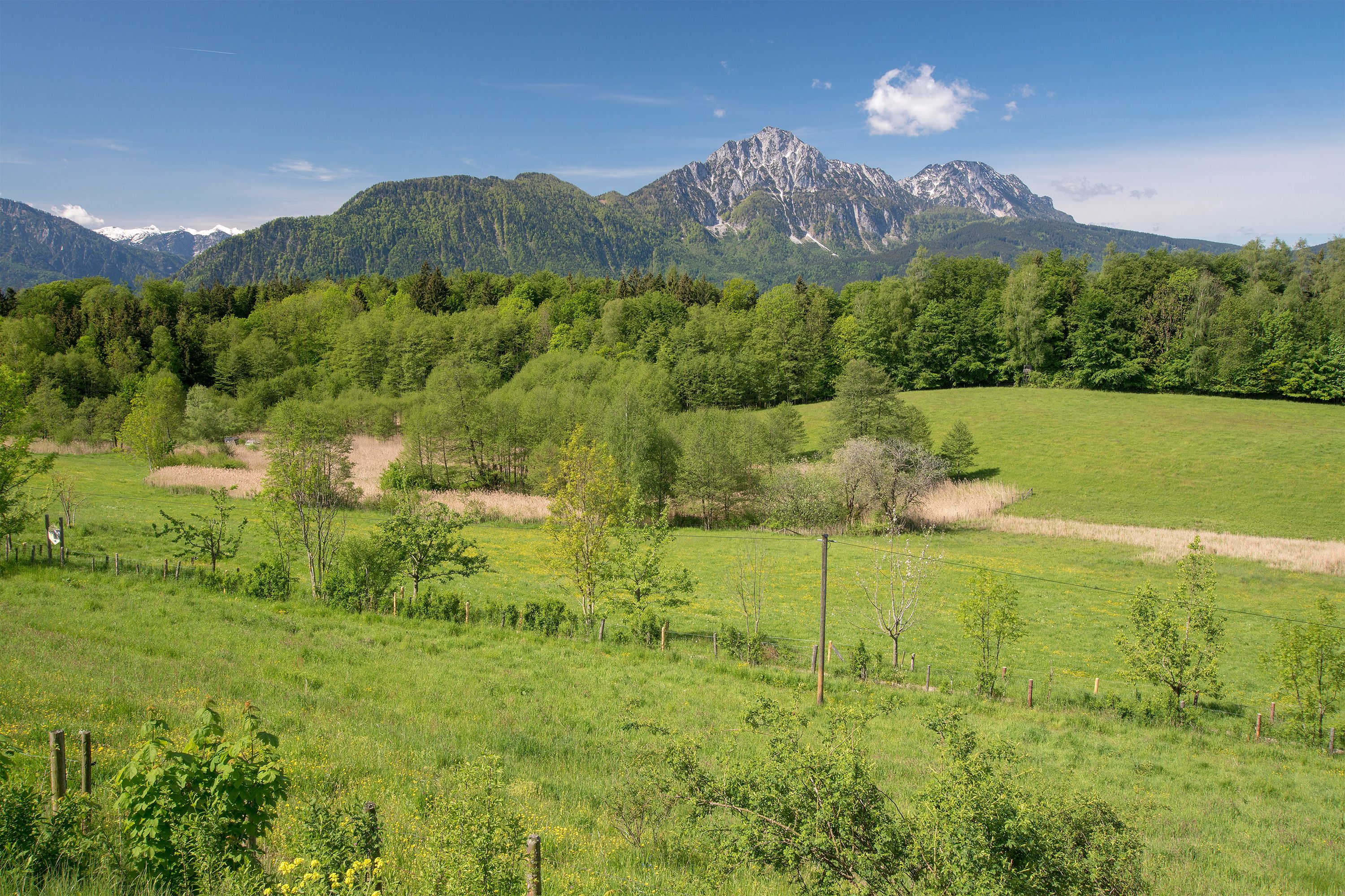 Blick über den Pidinger Bienenweg zum Hochstaufen