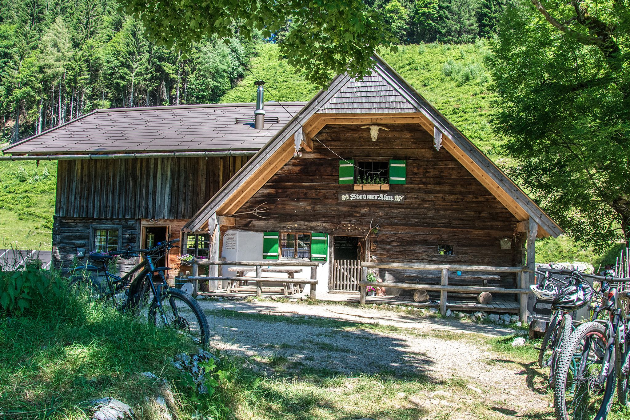 Steiner-Alm Piding